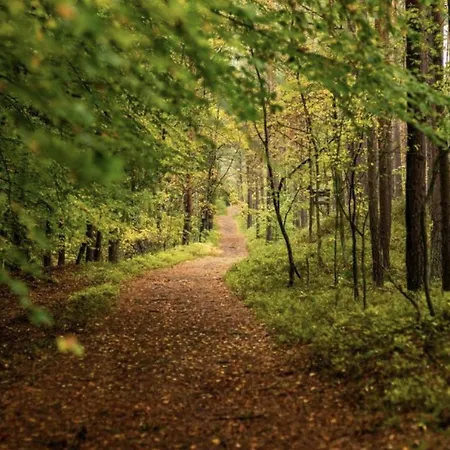 Beel W Pierwszej Linii Brzegowej *