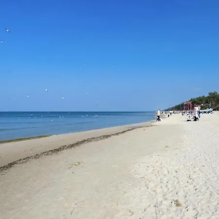 Beel W Pierwszej Linii Brzegowej * Jantar