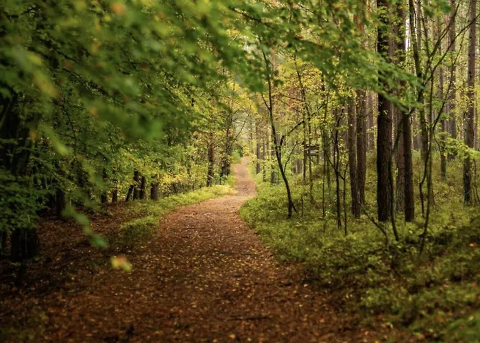 Beel W Pierwszej Linii Brzegowej *