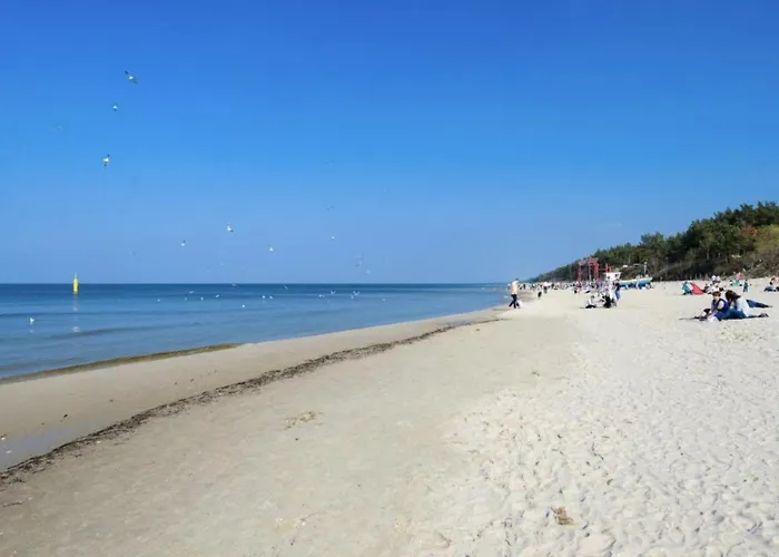 Beel W Pierwszej Linii Brzegowej * Jantar