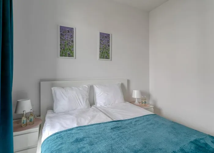 Beel W Pierwszej Linii Brzegowej * Jantar